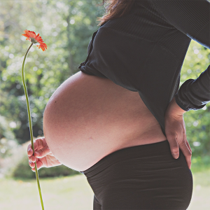 pregnancy-bloom-fertility-clearwater-physical-therapy